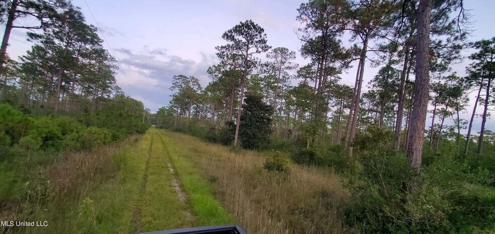 More Photos Of 8317 Highway 57, Vancleave Land For Sale