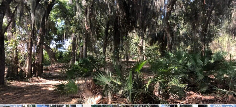 More Photos Of N LAKE REEDY BLVD, Frostproof Land For Sale