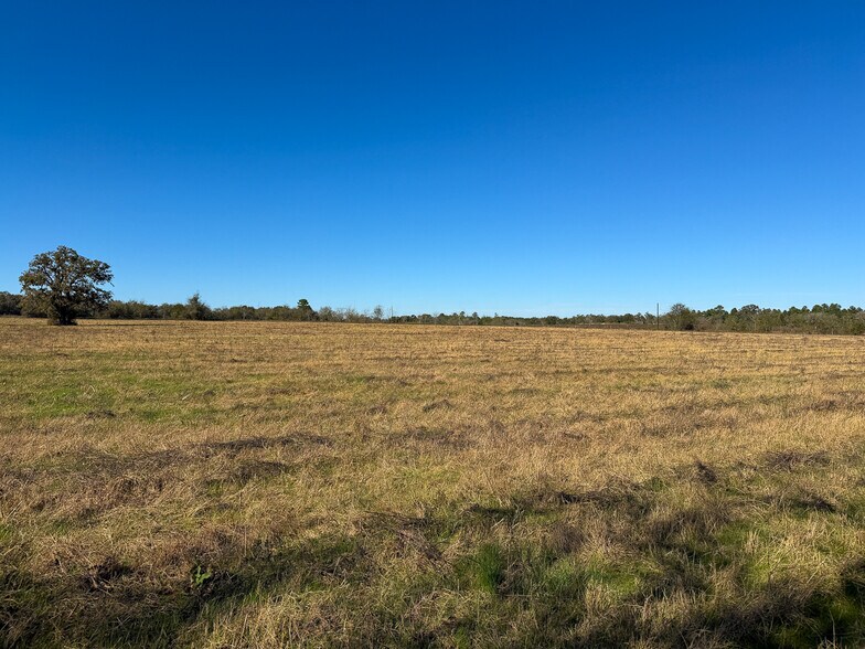 More Photos Of 1658 TX-75, Huntsville Land For Sale