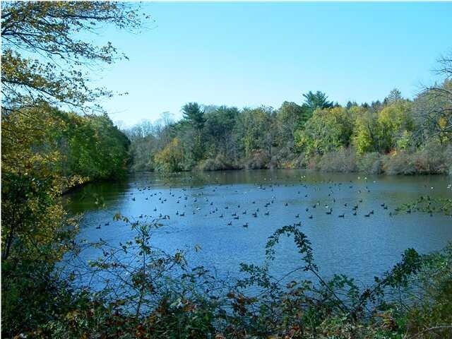 More Photos Of 952 Holmdel Rd, Holmdel Office For Lease