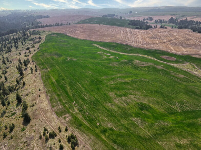 More Photos Of 45XXX Devore Rd, Davenport Land For Sale