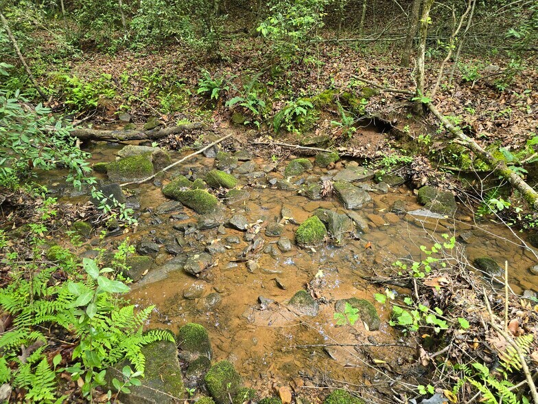 More Photos Of Davis Lake Rd @ Old Talbotton Rd, Thomaston Land For Sale