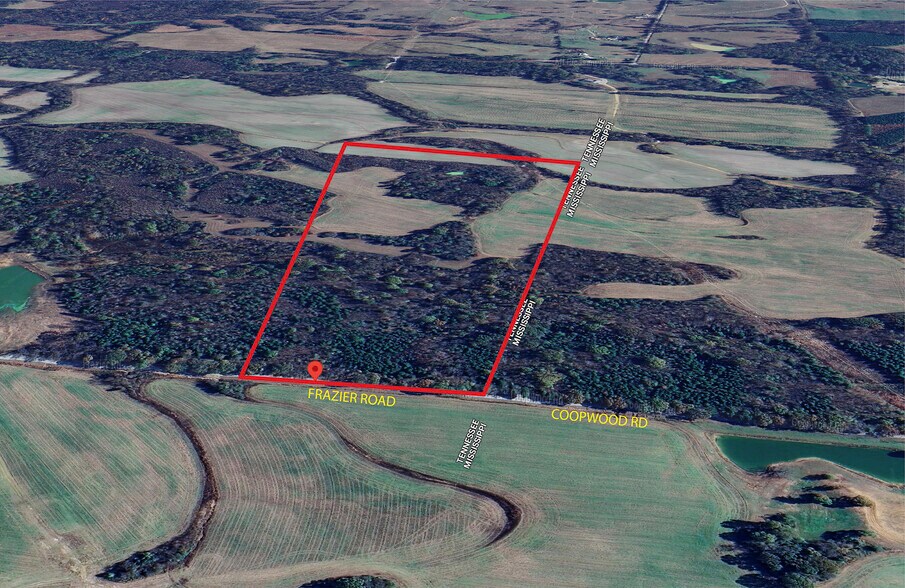Primary Photo Of 2174 Frazier Road, Rossville Land For Sale