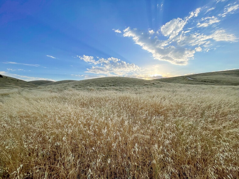 More Photos Of 0 E. 41 Hwy, Templeton Land For Sale