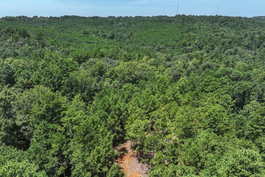 More Photos Of Tract 1 County Road 4102, Jacksonville Land For Sale
