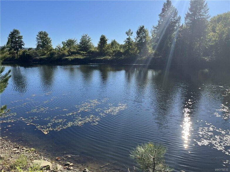 More Photos Of 10661 W Lake Rd, Ripley Winery Vineyard For Sale