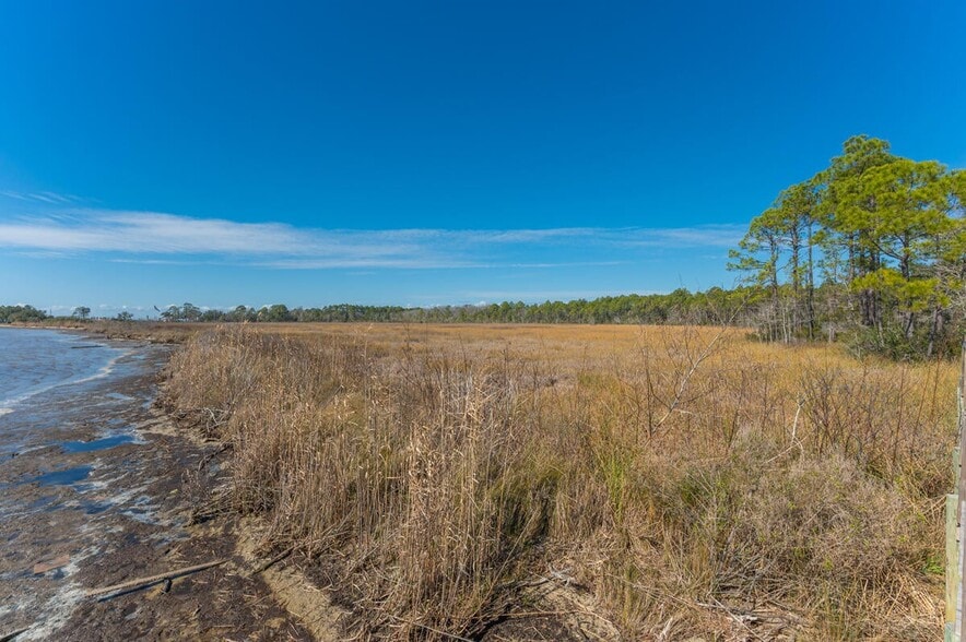 More Photos Of Hwy 331 S & Jolly Bay Road, Freeport Land For Sale