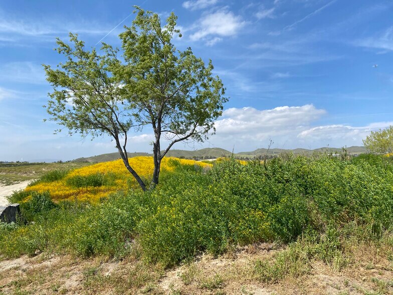 More Photos Of 29381 Village Pky, Lake Elsinore Golf Course Driving Range For Sale