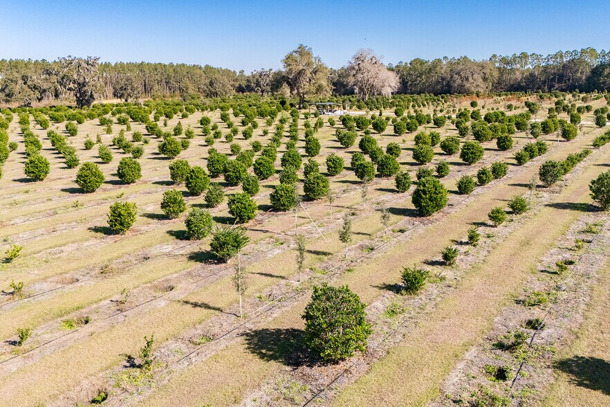 More Photos Of 16385 NW 112th Ct, Reddick Specialty For Sale