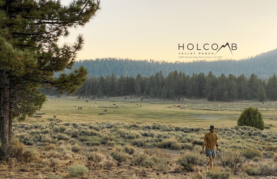 Primary Photo Of 34300 Holcomb Valley Rd, Fawnskin Land For Sale