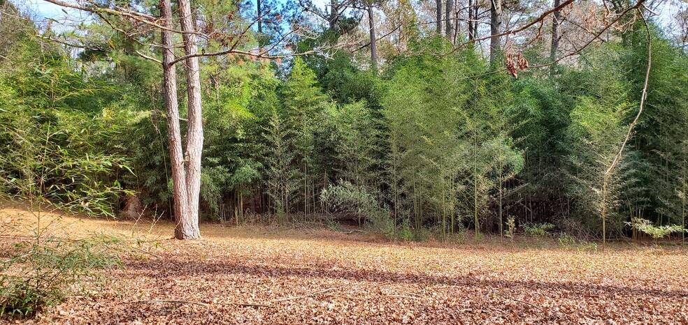 More Photos Of 839 Grayson New Hope Rd, Lawrenceville Land For Sale