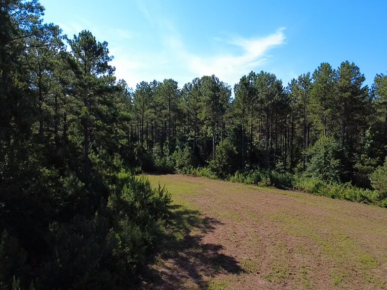 More Photos Of Hwy 184, Due West Land For Sale