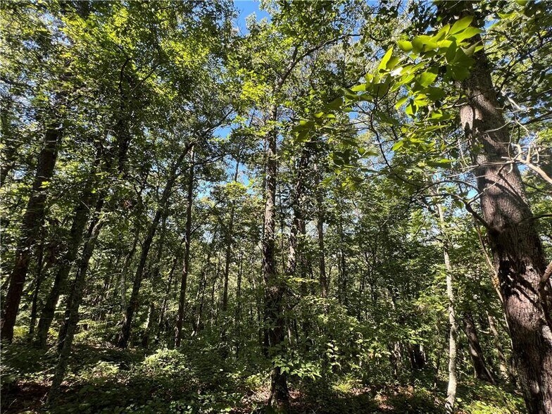 More Photos Of 16 Hawks Branch #123, White Land For Sale