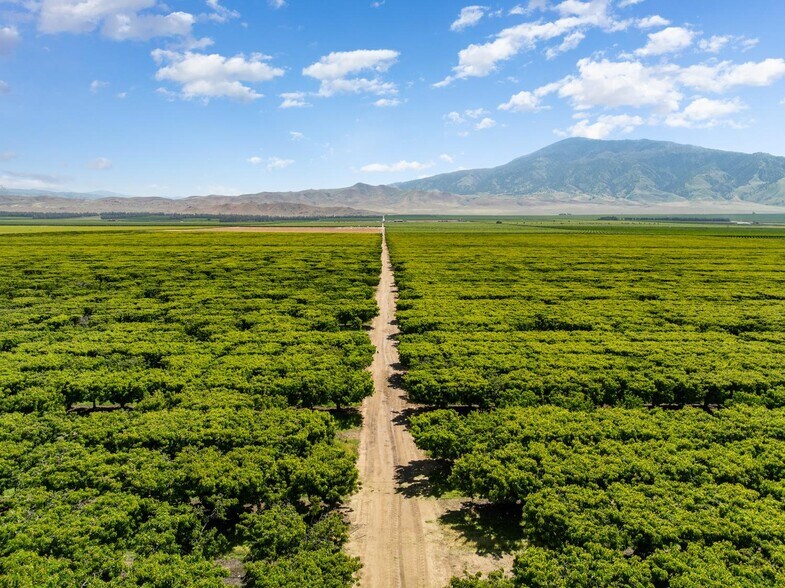 More Photos Of 0 Rock Pile Road, Arvin Land For Sale