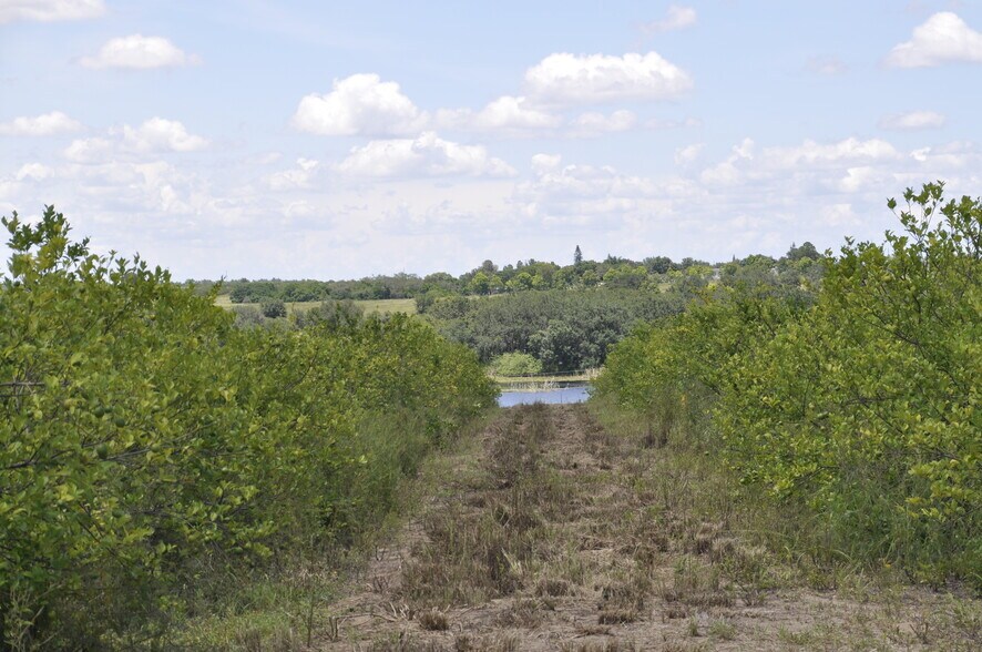 More Photos Of Lake Marie Dr, Dundee Land For Sale