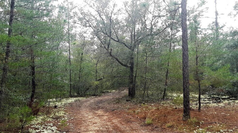 More Photos Of SR 20, Interlachen Land For Sale