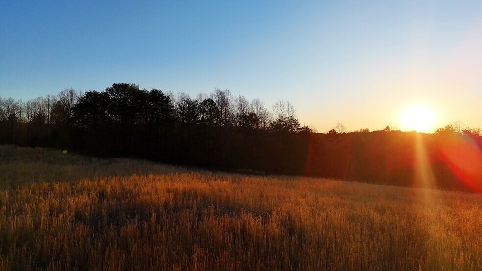 More Photos Of 142 Mace Rd, Casar Land For Sale