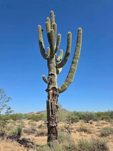 More Photos Of 31602 Black Cross #19 Rd, Scottsdale Land For Sale