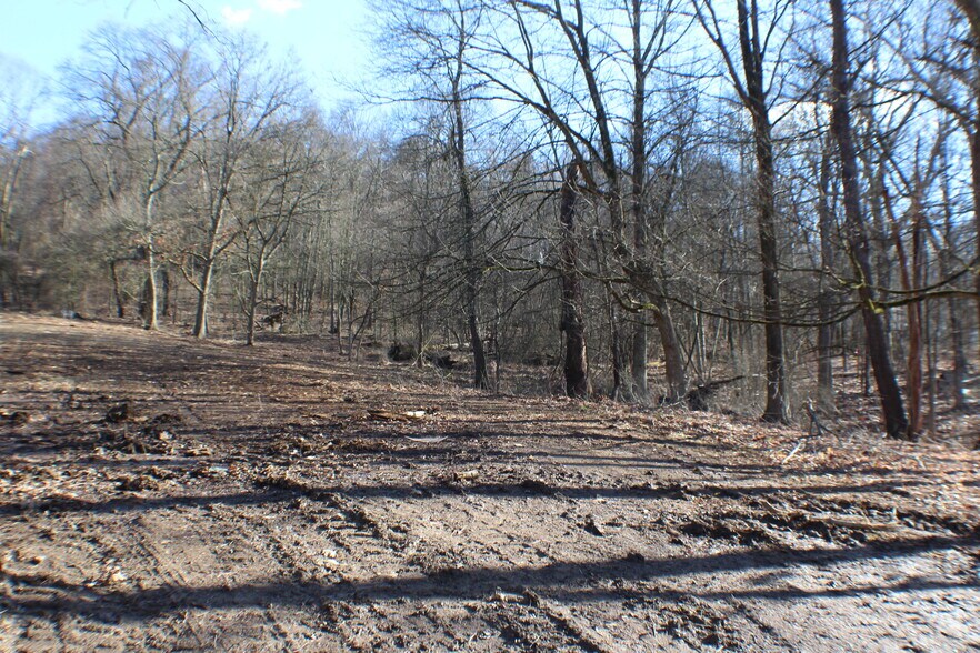 More Photos Of 3376 Saxonburg Blvd, Glenshaw Land For Sale