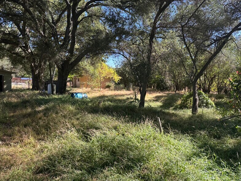 More Photos Of 1528 Olivewood Ln, Alpine Land For Sale