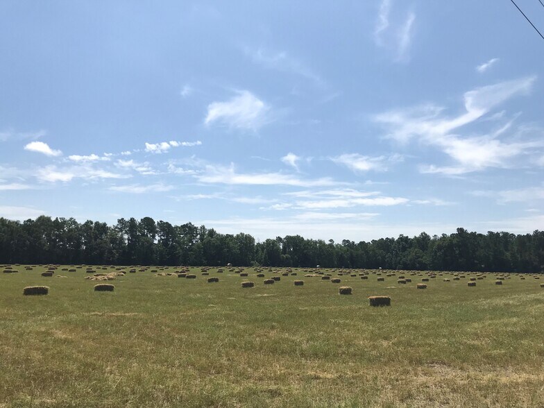 More Photos Of 0 Sniders Hwy & Cane Branch Rd, Walterboro Land For Sale