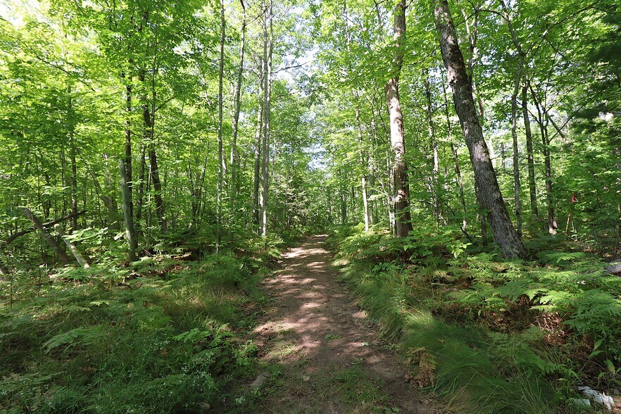 More Photos Of 35480 Whitetail Ave, Bayfield Land For Sale