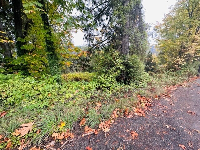 More Photos Of 2 W. Sherman Heights Road, Bremerton Land For Sale