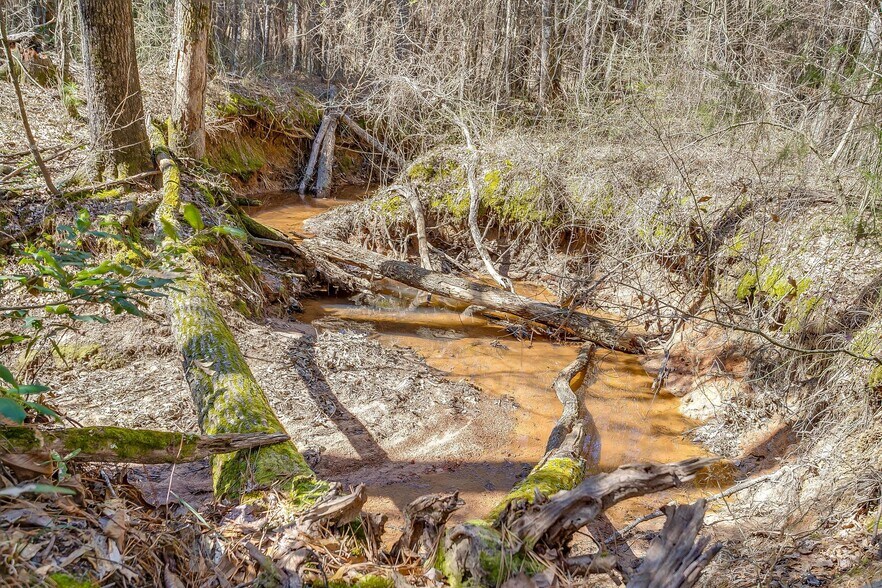 More Photos Of 439 County Road 3190, Winnsboro Land For Sale