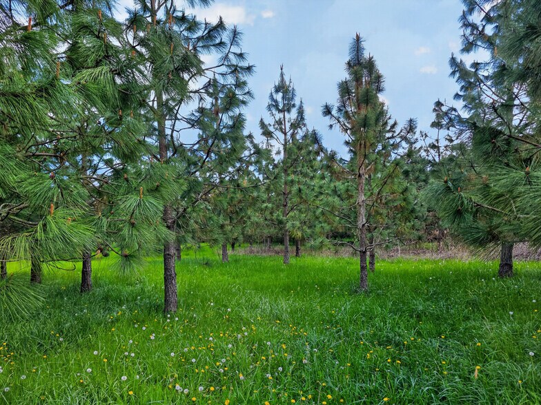 More Photos Of 37516 Beaton ln, Lebanon Land For Sale
