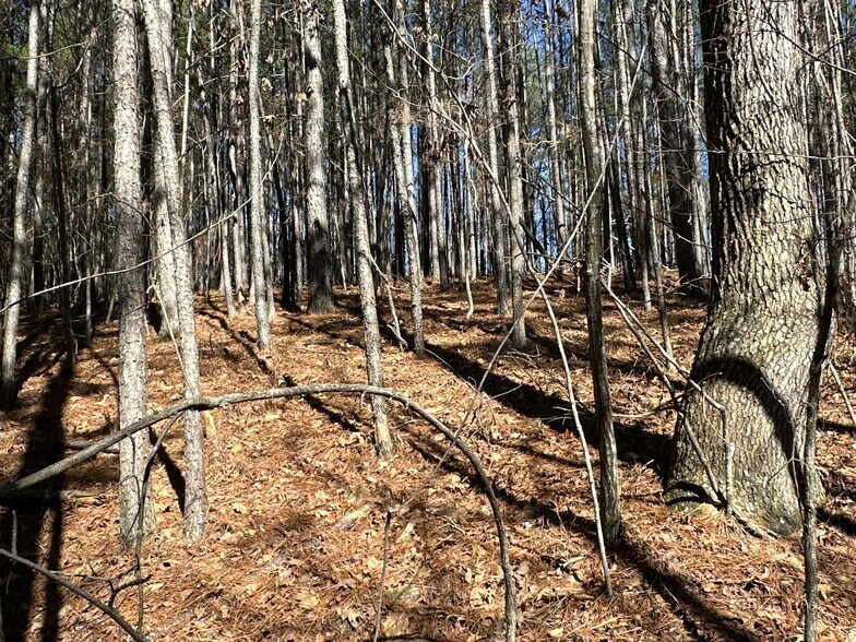 More Photos Of 3472 Prior Station Rd, Cedartown Land For Sale
