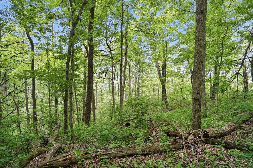 More Photos Of 30-Acres Wolfpen Pleasant Hill Rd, Day Heights Land For Sale