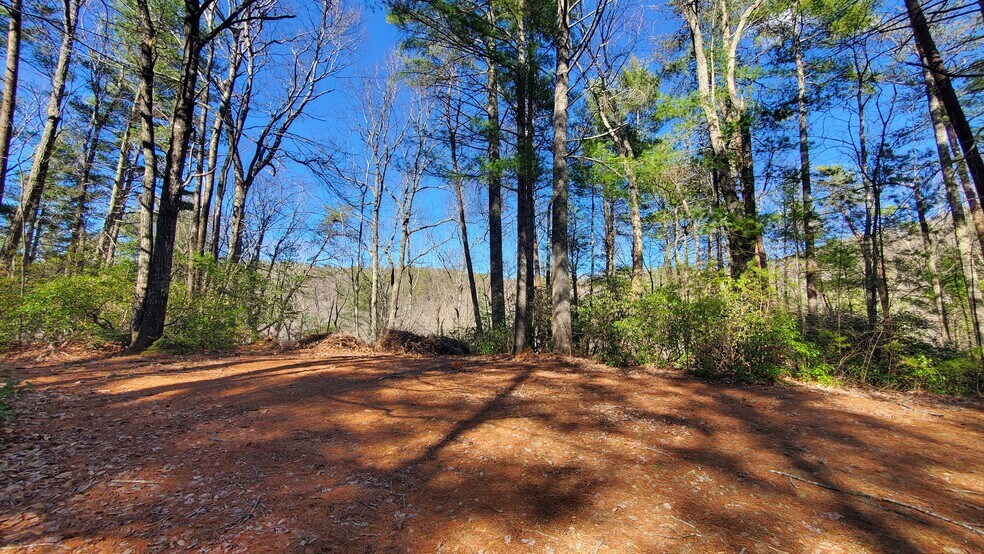 Primary Photo Of Mountain Cove Estates Rd, Cherry Log Land For Sale