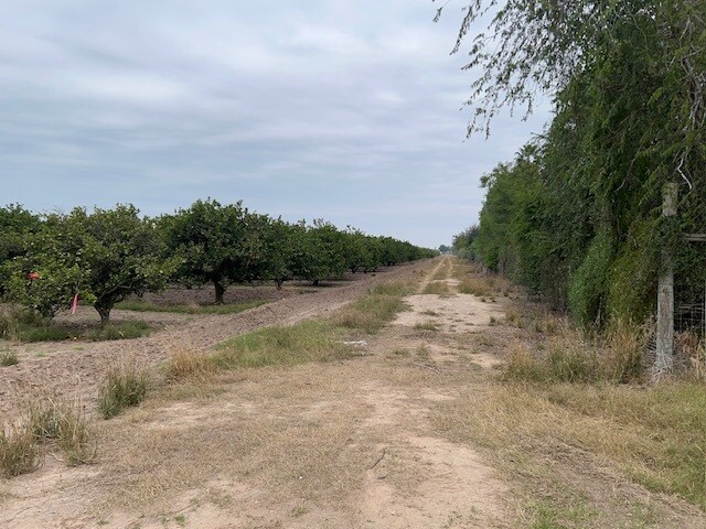 Primary Photo Of 42.90 Acs at NE Corner of S. Stewart & Hall Acres, San Juan Land For Sale