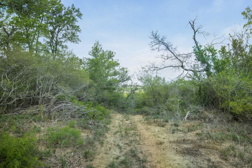 More Photos Of 8519 State Park Rd, Lockhart Land For Sale