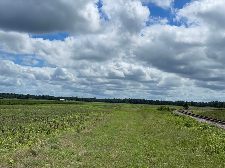 More Photos Of 5700 Pine Forest Rd, Walnut Hill Land For Sale