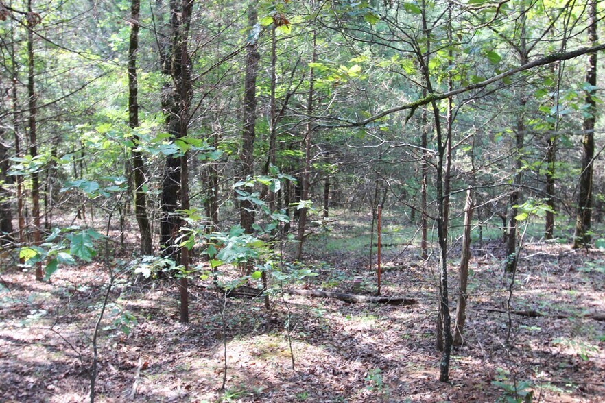 More Photos Of 226 Blythe rd, Greenbrier Land For Sale