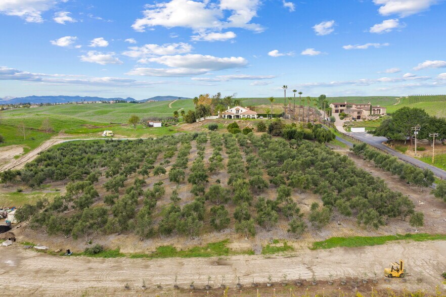 More Photos Of 41309 Avenida Biona, Temecula Winery Vineyard For Sale