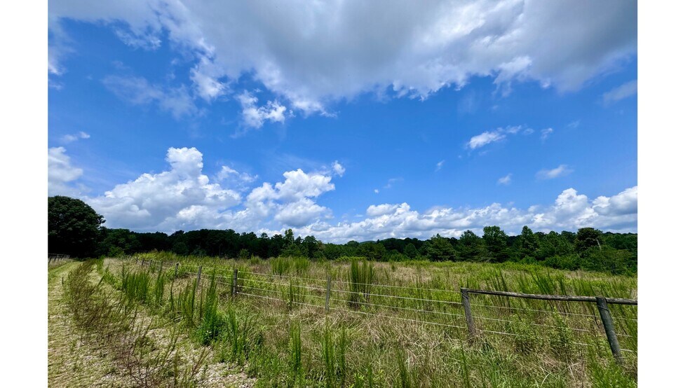 More Photos Of 320 Steve Tate Hwy, Marble Hill Land For Sale