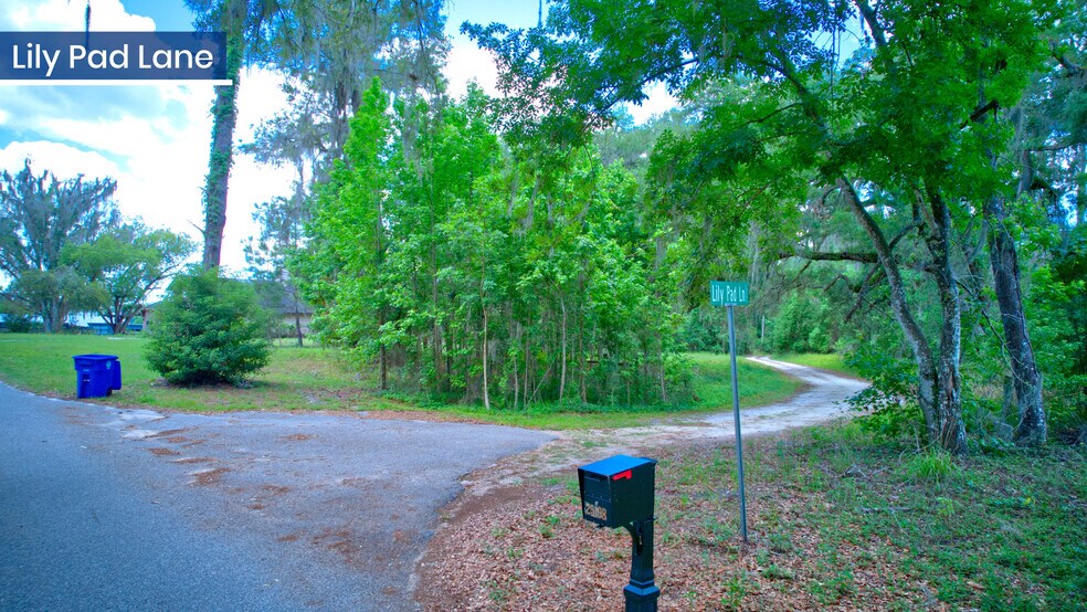 More Photos Of 3267 Neff Lake Rd, Brooksville Land For Sale