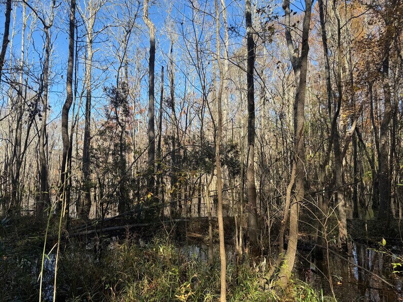 More Photos Of 793 Puncheon Creek Dr, Andrews Land For Sale