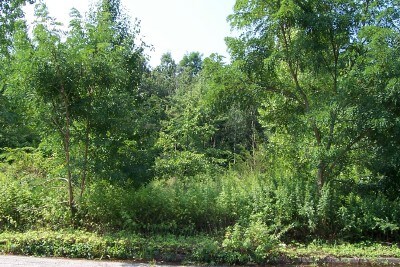 Primary Photo Of 1 Barnet Rd, Montville Township Land For Sale