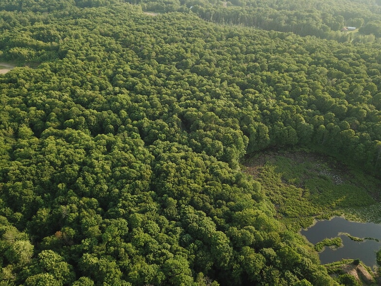 More Photos Of 0 Osceola Rd, West Leyden Land For Sale