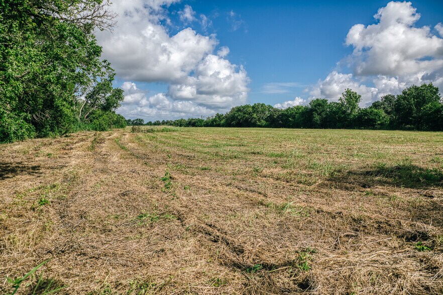 More Photos Of TBD FM 60, Snook Land For Sale