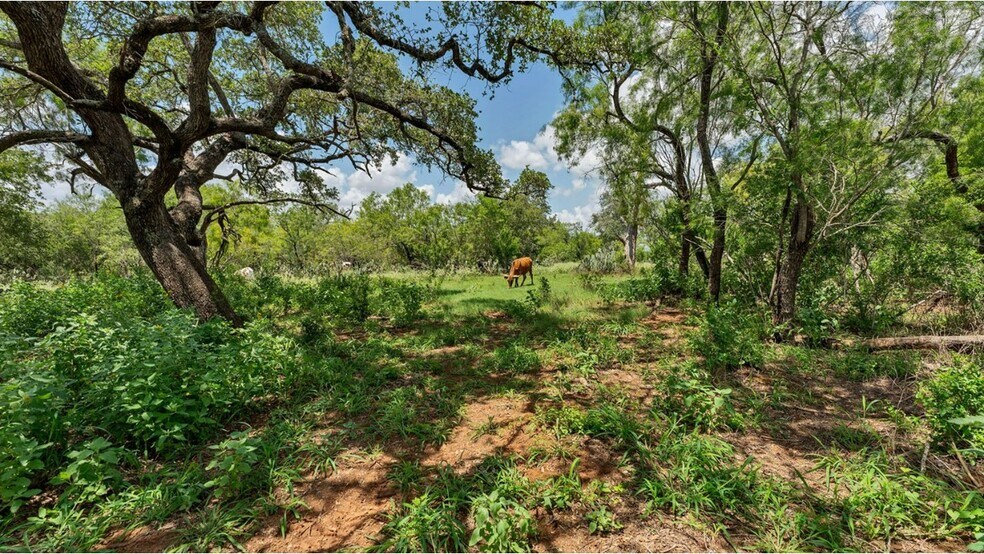 More Photos Of 209 FM 1344, Floresville Land For Sale
