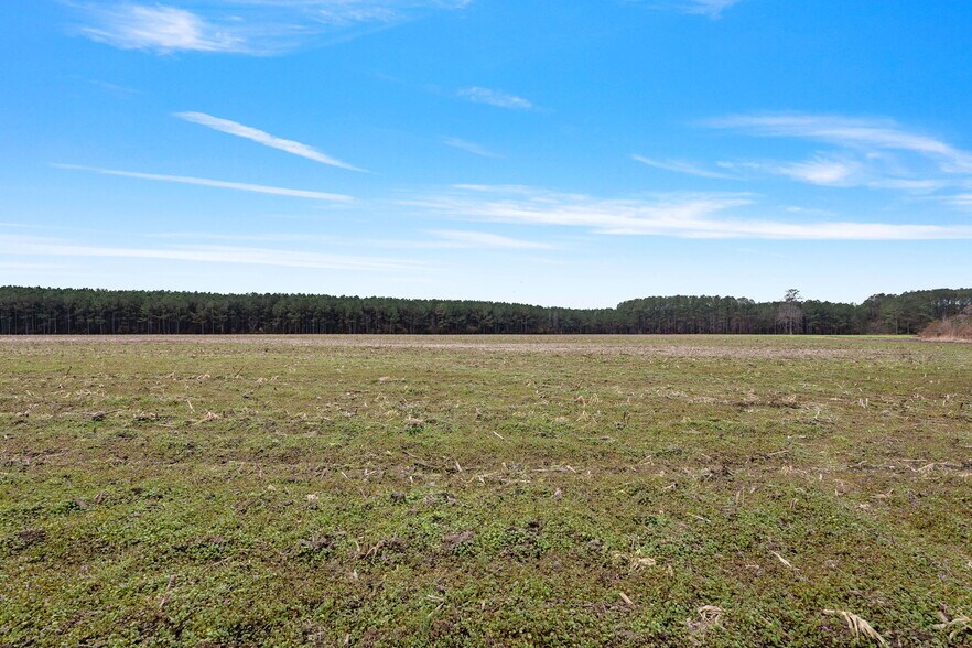 More Photos Of 10131 Ramsey st, Linden Land For Sale