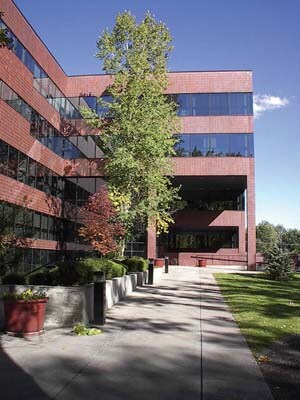 More Photos Of 4251 Kipling St, Wheat Ridge Office For Lease