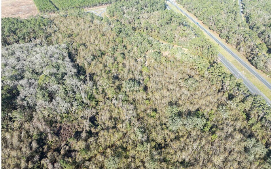 More Photos Of TBD CR 137 & I-10, Wellborn Land For Sale