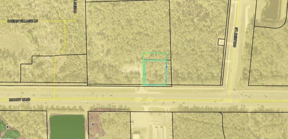More Photos Of 000 SR100, Palm Coast Land For Sale