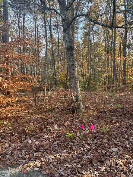 More Photos Of 3207 Broad st, Gum Spring Land For Sale