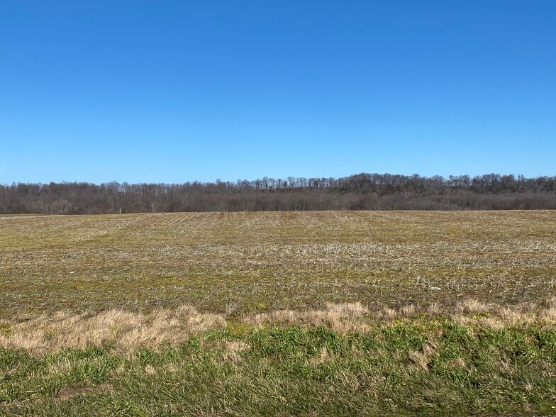 Primary Photo Of 12293 Louisville Road Hwy, Oakland Land For Sale